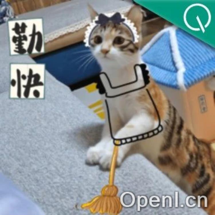 让AI眼里有活主动干！清华&面壁等开源主动交互Agent新范式