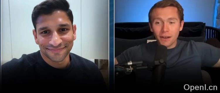 揭秘Perplexity的增长策略:AI搜索崛起背后的成与败