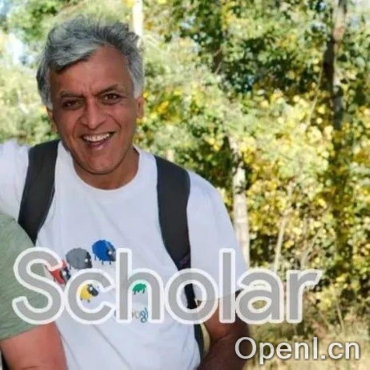 当猫咪成为学术明星:谷歌学术创始人揭秘不为人知的奇幻故事