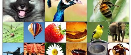 Make U-Nets Great Again!北大&华为提出扩散架构U-DiT,六分之一算力即可超越DiT