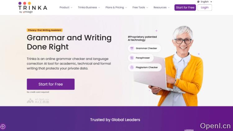 TRINKA:全面提升写作质量的AI语法检查与优化助手