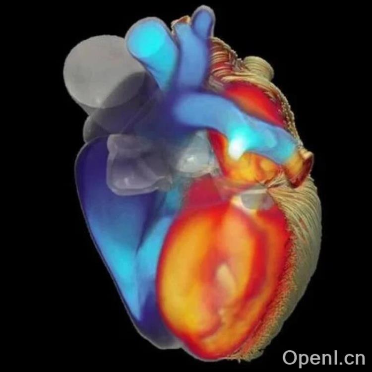 世界首次！智源研究院实现数字孪生心脏电功能超实时仿真