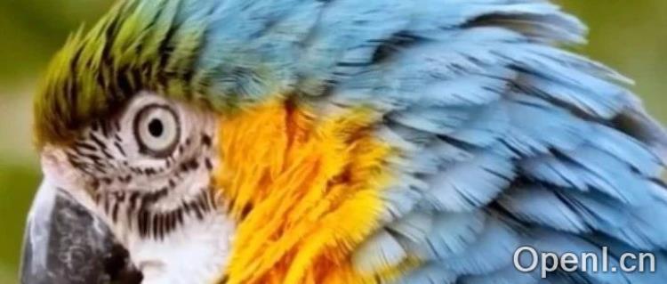 港科大开源VideoVAE+，视频重建质量全面超越最新模型