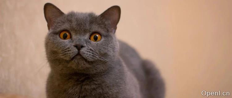 颠覆传统!仅需12个示例即可打造你的个性化AI专家,背后竟藏字节科技的秘密!