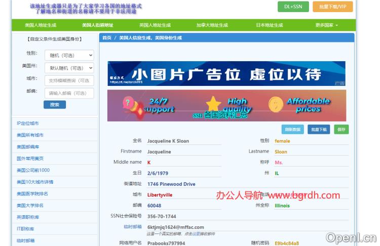 美国地址生成器插图