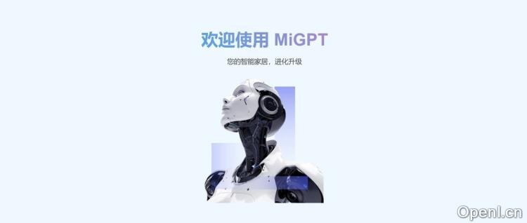 自从给小爱同学接上脑子，我家就没消停过...