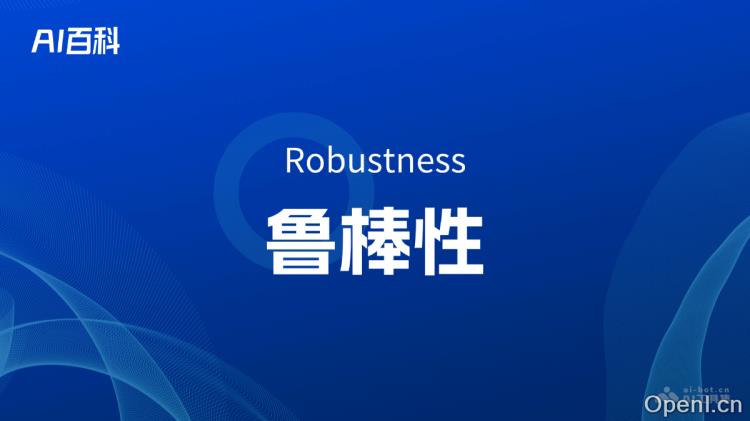 什么是鲁棒性（Robustness）