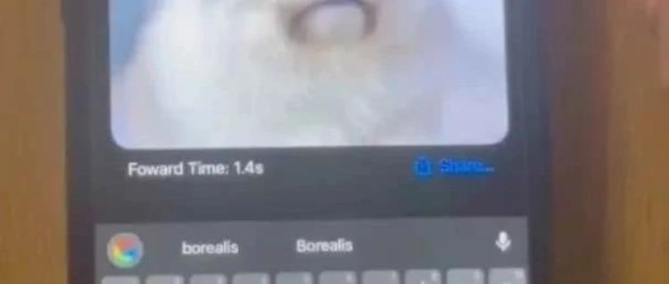 终于等来能塞进手机的文生图模型！十分之一体量，SnapGen实现百分百的效果