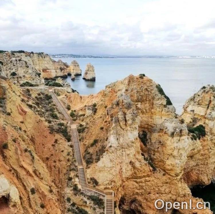 数据即将耗尽？大型 AI 公司中没有人会感到恐慌