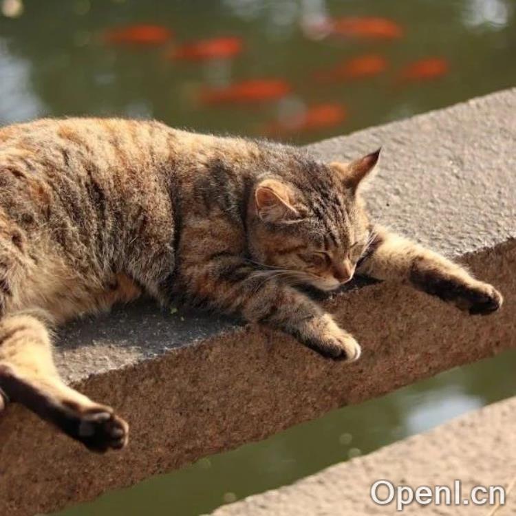 英伟达CUDA的护城河到底有多深？