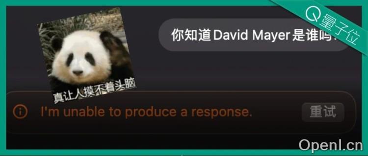 谜一般的沉默:为何ChatGPT对这个人三缄其口?