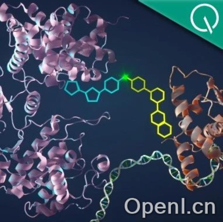 如何癌细胞？斯坦福医学院：骗它开启自毁