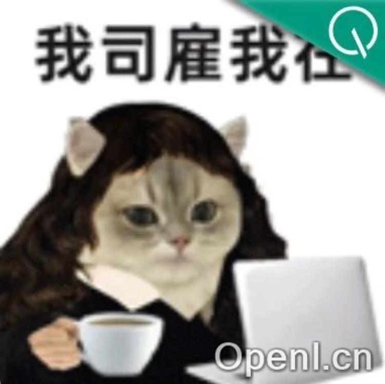 CPO薪资倒挂CEO,创业公司薪酬情况大起底