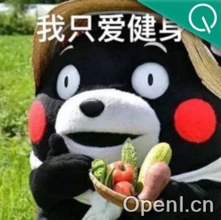 运动新发现:MIT揭示运动如何助力神经元生长,激励你迈开步伐!