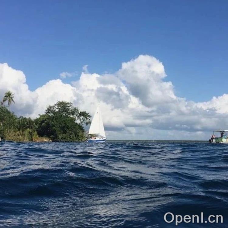 合成数据的前景与风险