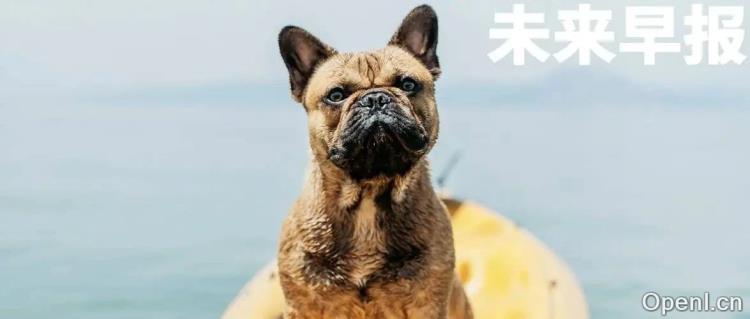 iPhone 17 Pro Max惊艳渲染图曝光!蔚来新品牌萤火虫售价或破万,ChatGPT推出适老电话服务,科技新纪元来临!