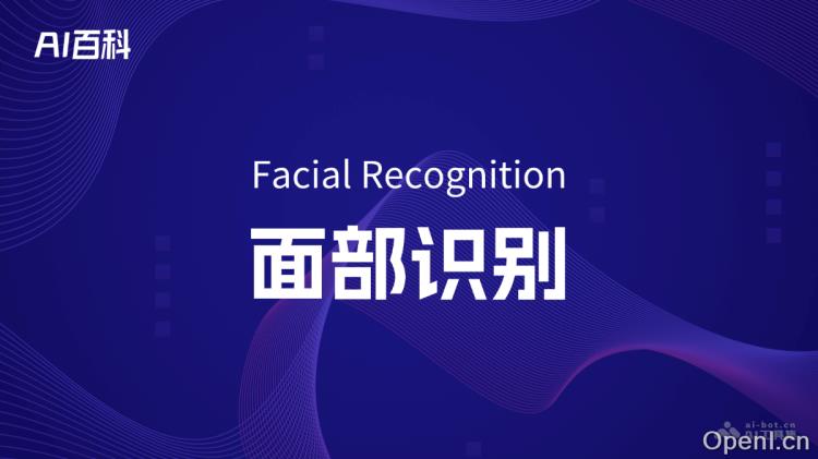 什么是面部识别（Facial Recognition）