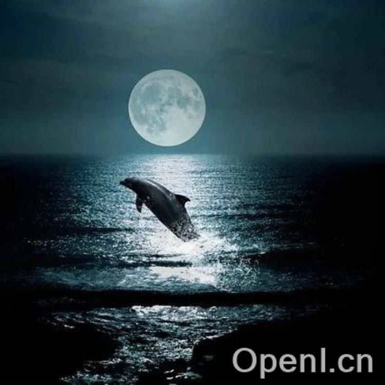 利用强化学习打造绿色未来:Meta如何提升数据中心可持续性