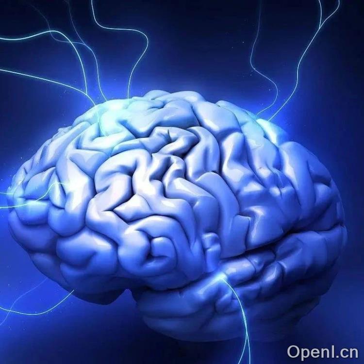 探索大脑老化的秘密:揭示三个关键年龄节点的惊人发现