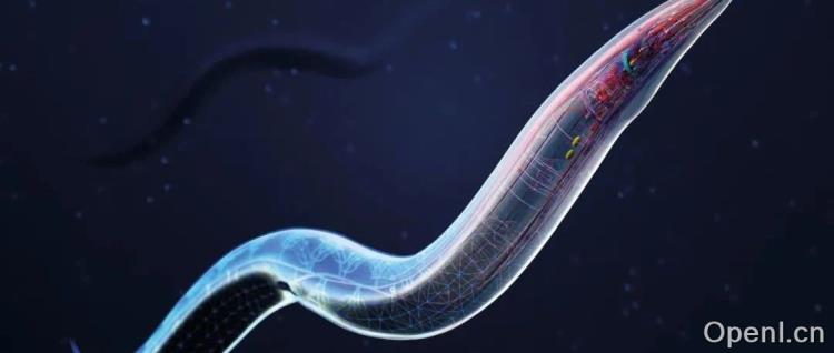 模拟生命体，智源线虫登上Nature子刊封面，探索AGI的第三条路径