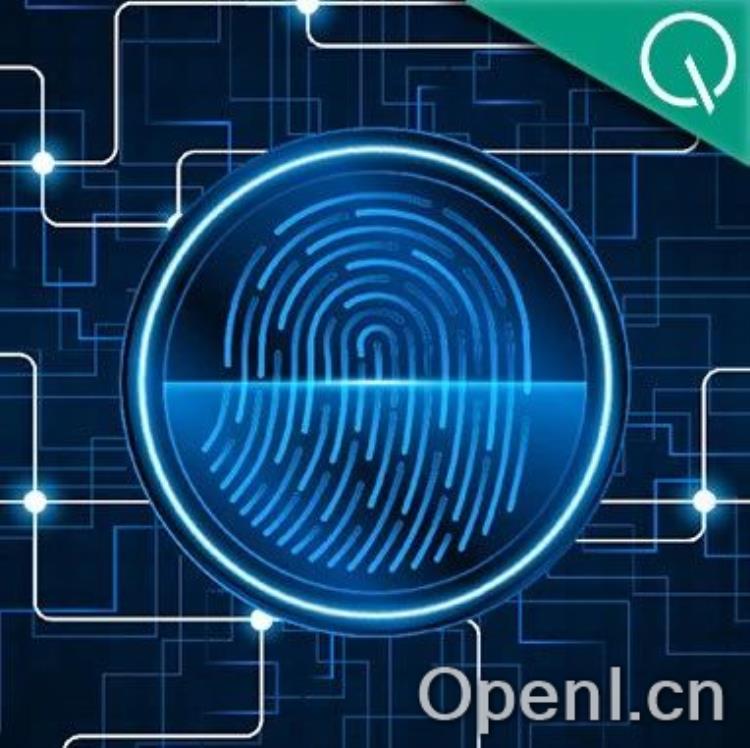 “破解AI黑箱:上海实验室揭示大模型‘指纹’与剪枝合并的秘密!”