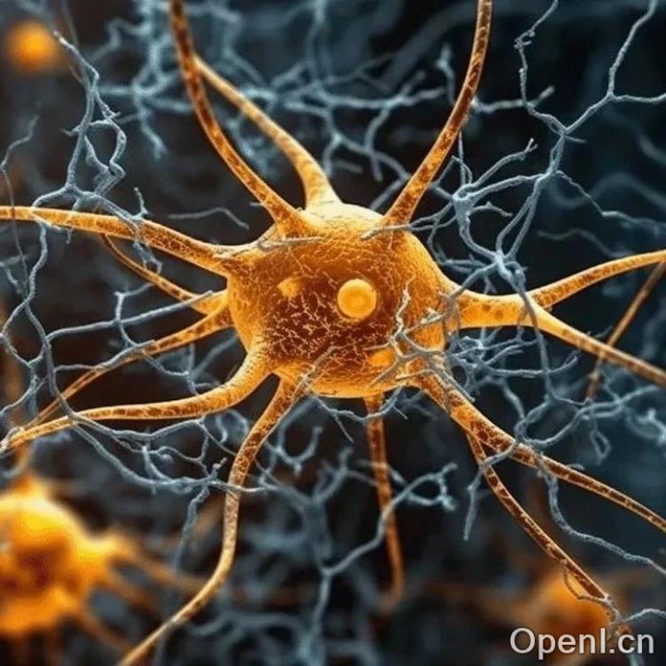 改写百年认知！神经元的基本形态，我们一直弄错了？