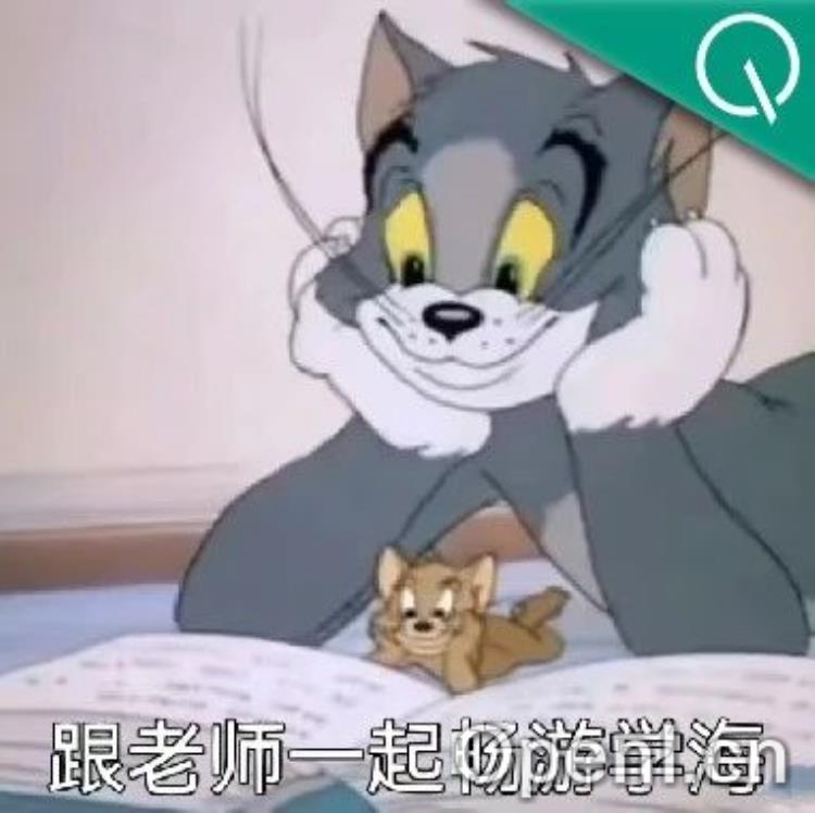 模型知识蒸馏新SOTA！告别传统散度蒸馏｜腾讯优图&中科大出品