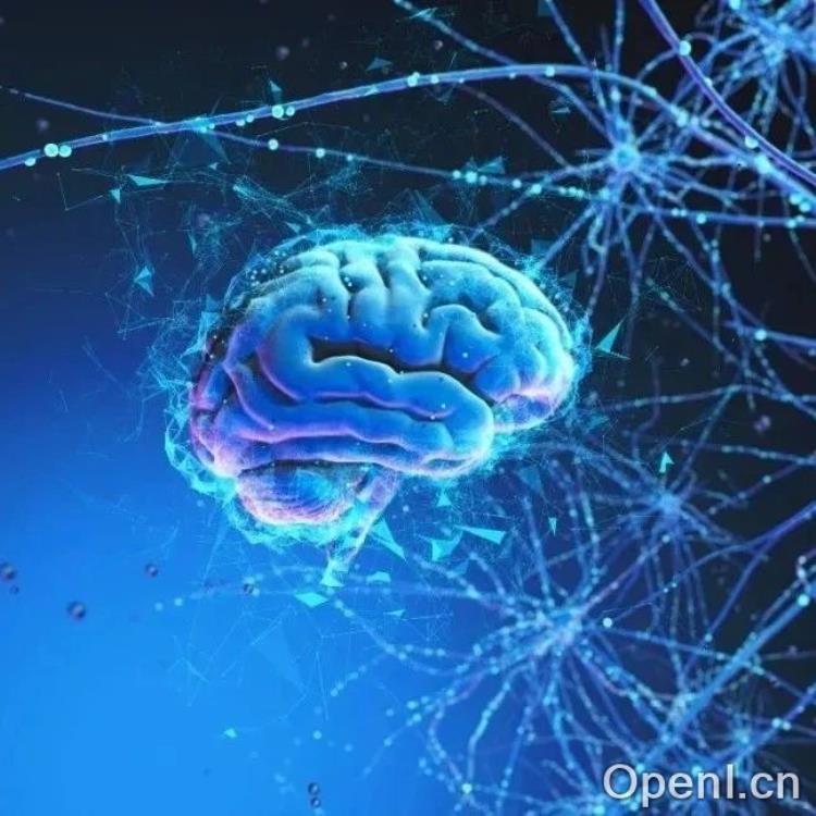 激活青春:双管齐下恢复大脑活力,抵御“坏”细胞的侵袭!