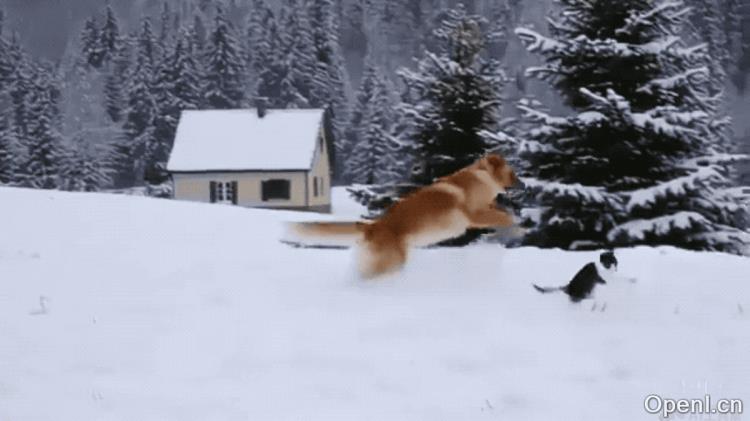 腾讯混元文生视频:腾讯AI视频生成模型革新视觉创作体验