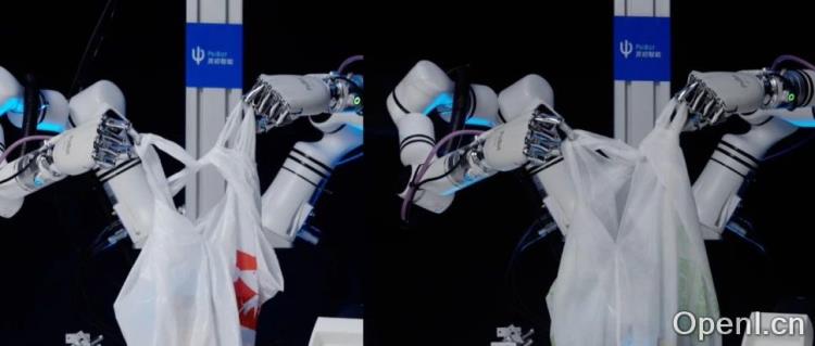 00后李飞飞学生联合创业，世界级机器人难题，被稚晖君投资，独家对话创始人