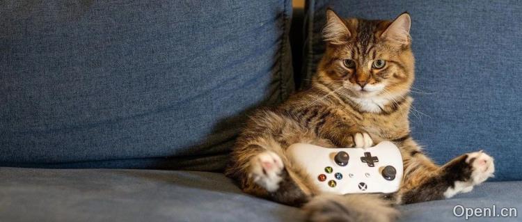 AI创业公司招募0薪CTO引发热议;网易回应深圳裁员传闻;94岁巴菲特分享人生告别计划!