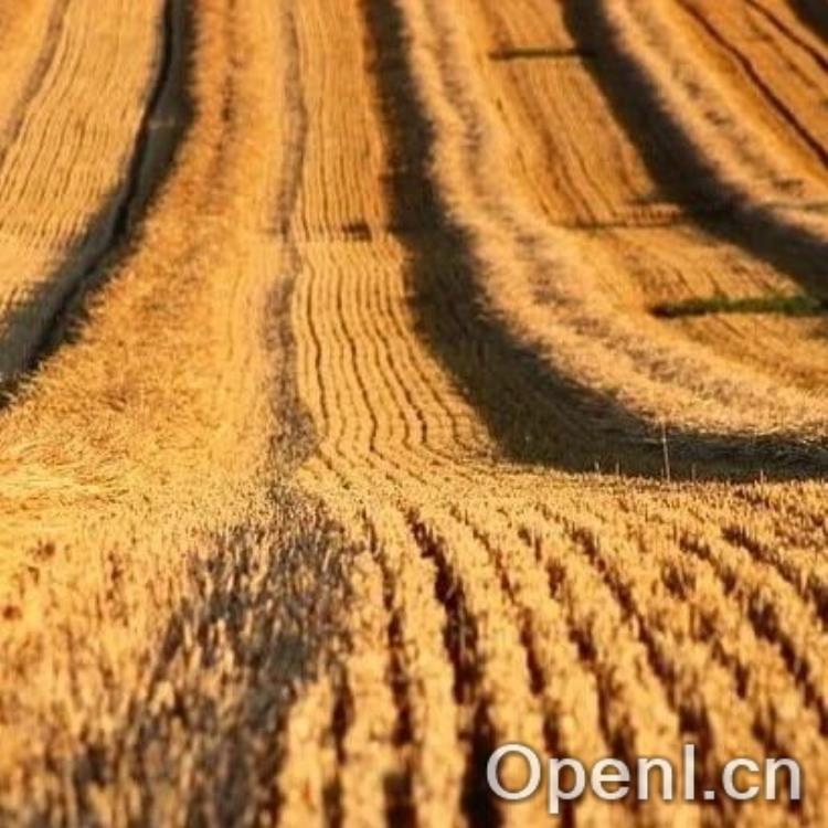 颠覆性技术:将多模态大模型计算量削减至惊人的12%!