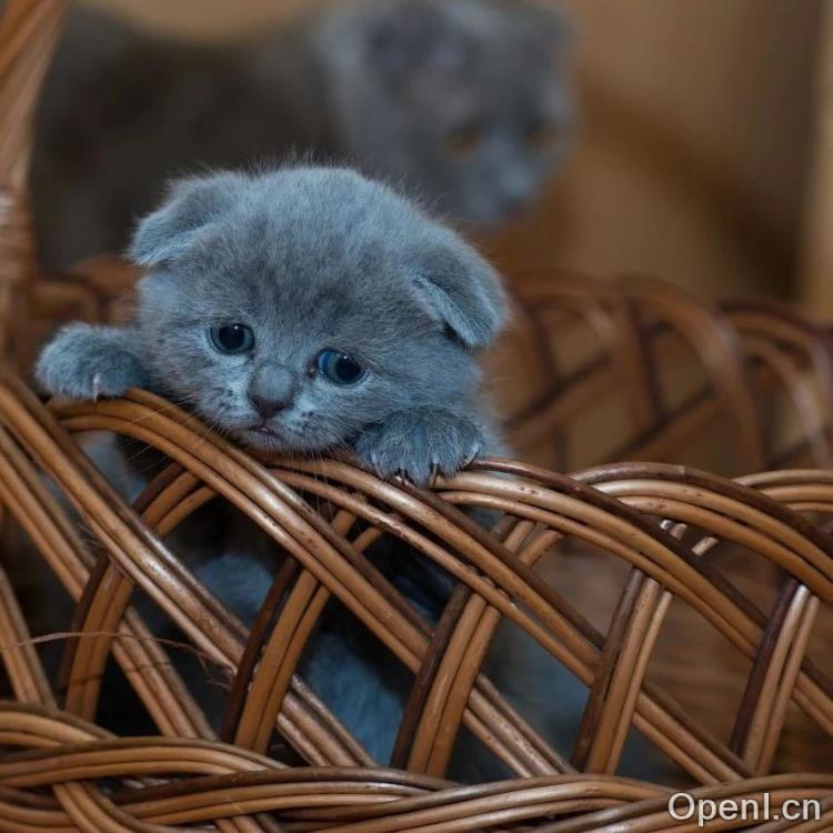 零基础也能玩转大模型!揭秘80万起步的快速入门秘籍