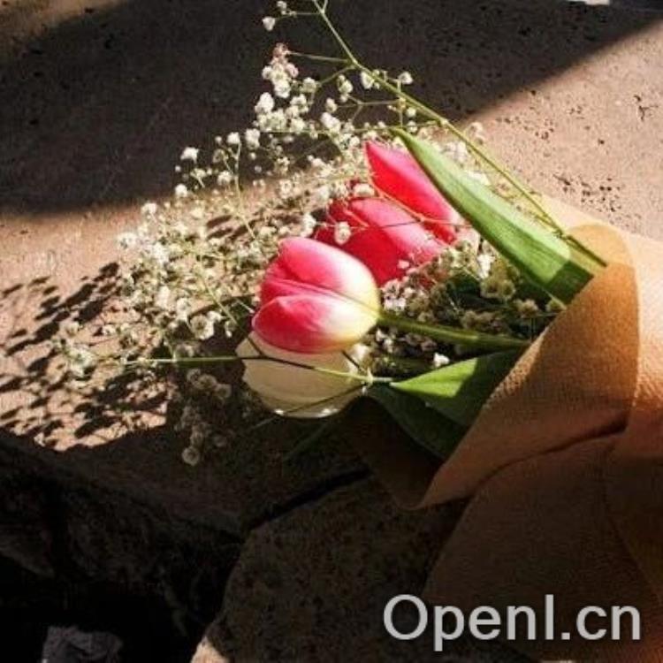 商汤贾安亚：大模型未来趋势是让大家变成更会用 AI 的人