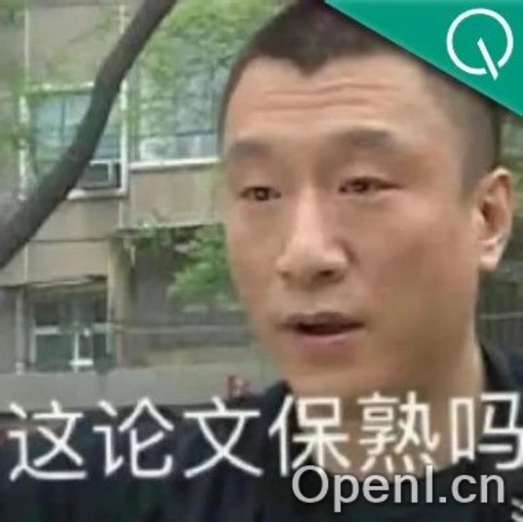 ViT作者飞机上也要读的改进版Transformer论文,花2个小时详细批注解读分享出来