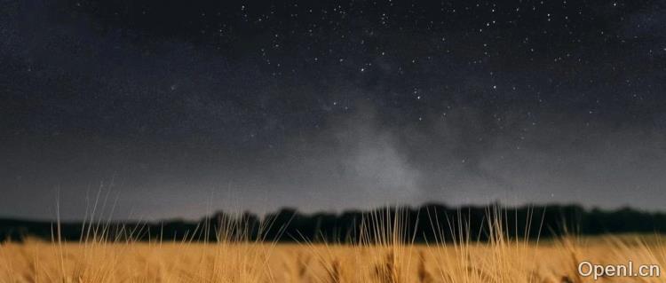 通用UI导航智能体的底座!苹果手机端UI多模态大模型Ferret-UI 2解读