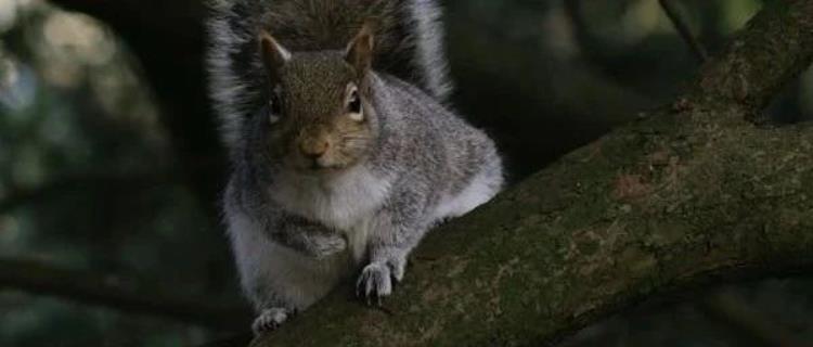 字节索赔800万,实习生夺得NeurIPS最佳论文,豆包团队与获奖者现场对话引发热议!