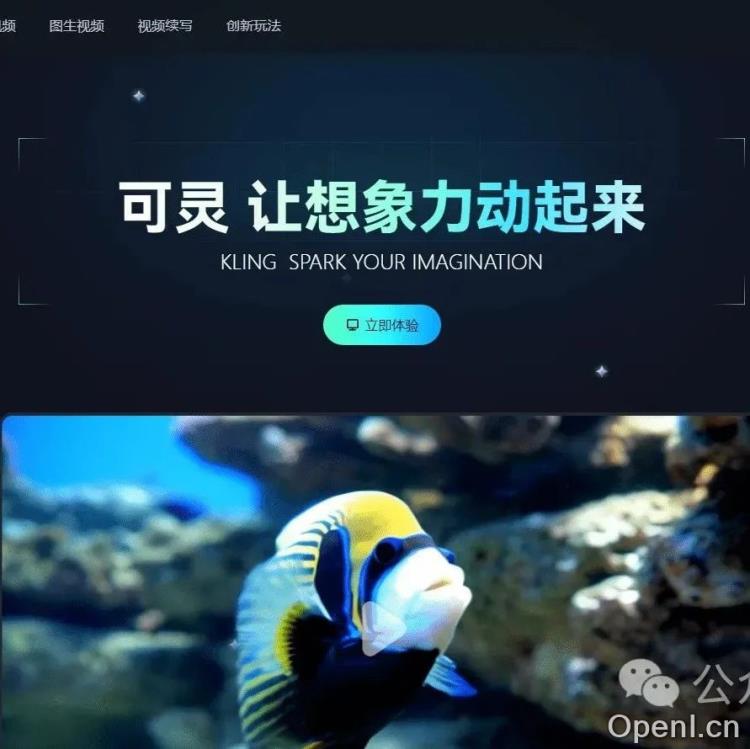 快手:可灵 AI 网页端上线