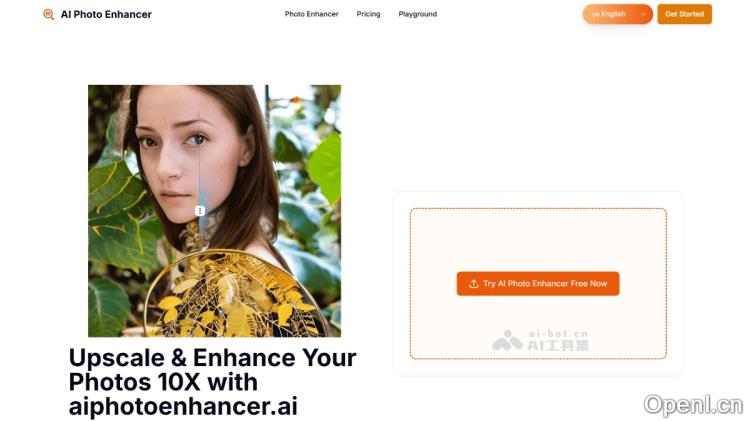 AI Photo Enhancer:突破极限的图像放大技术,轻松将照片放大至原始尺寸的10倍