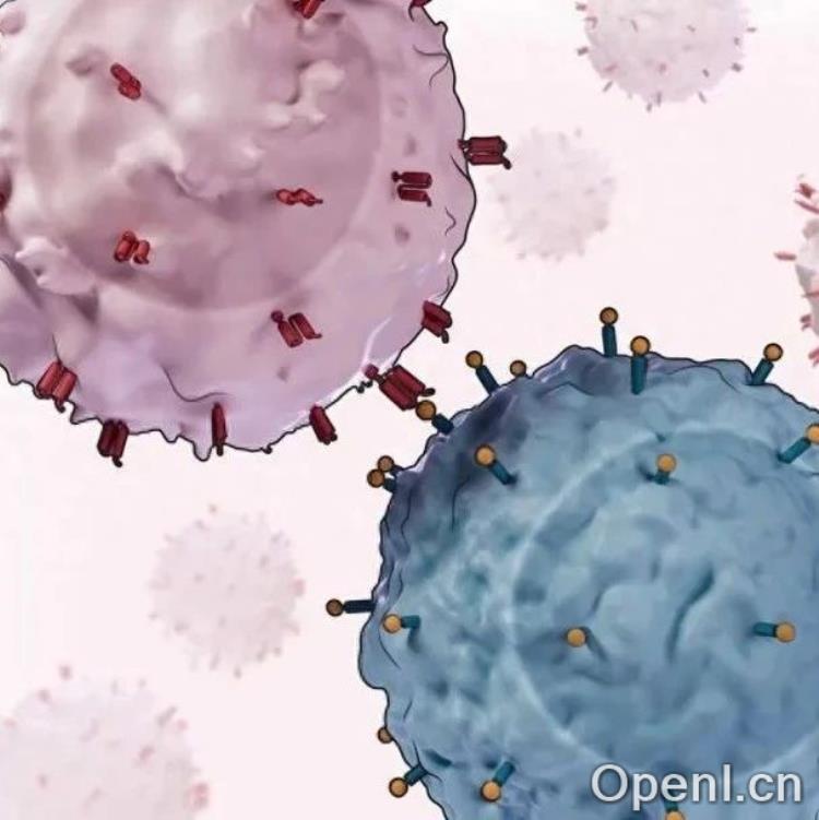 《科学》杂志 2024 年度突破