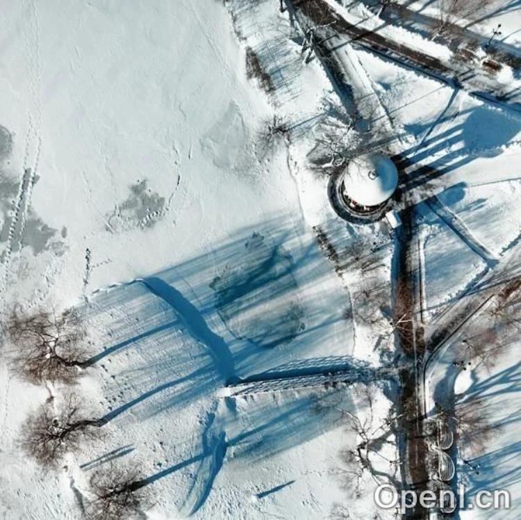 值得开发者好好看一看的 AI 大模型入门教程（内含300道AI面试真题）| 极客时间