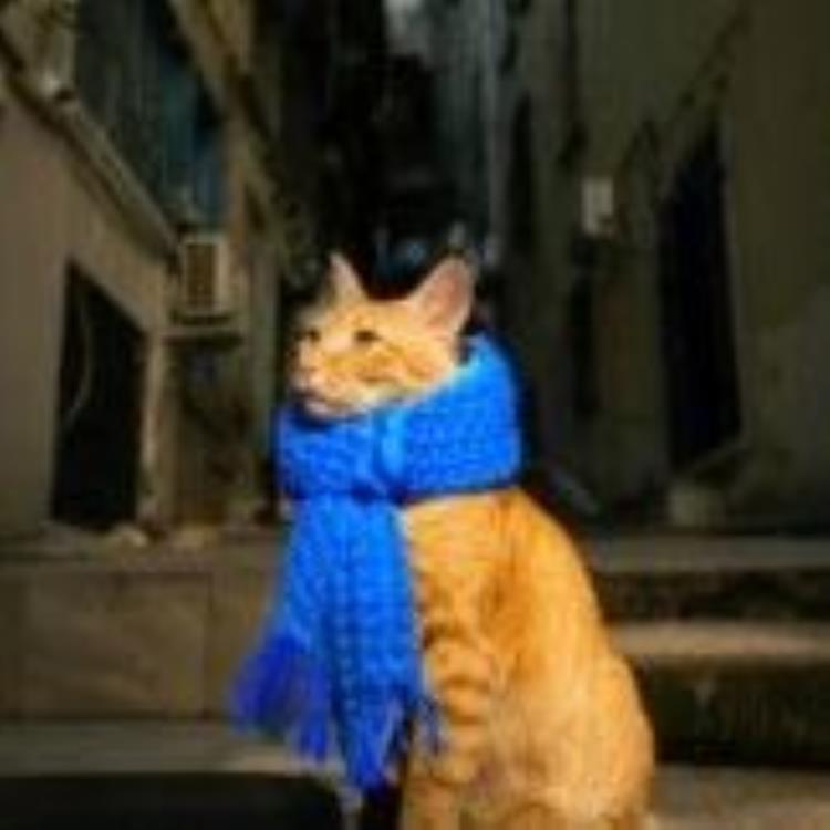 UniReal登场：用视频架构统一图像生成与编辑，还学到真实世界动态变化规律