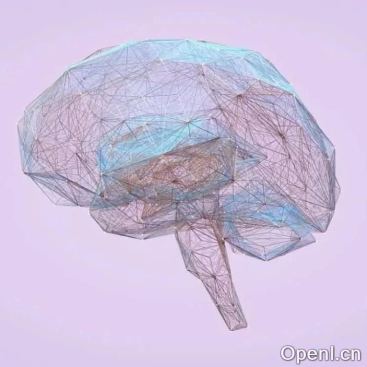 Tononi vs Seth:意识研究,应当遵从内在视角还是观察者视角?