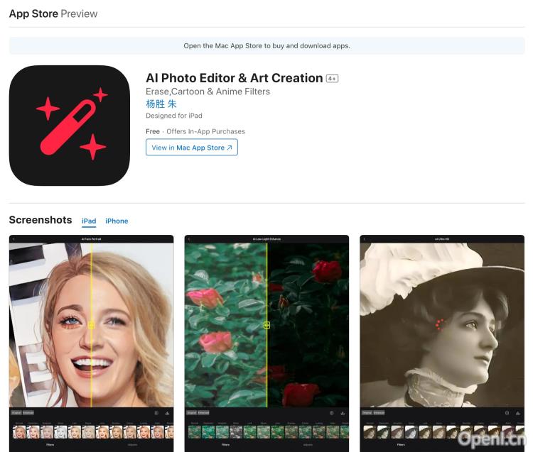 AI Photo Editor & Art Creation