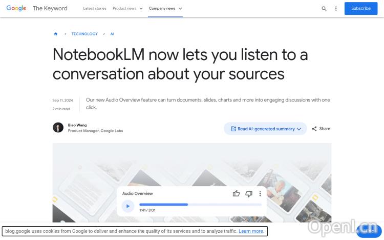 NotebookLM Audio Overview