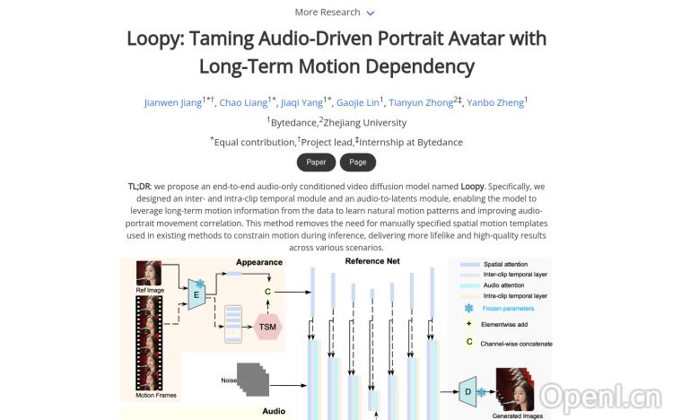 Loopy model