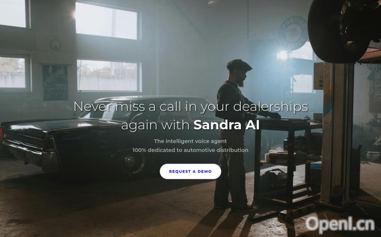 Sandra AI