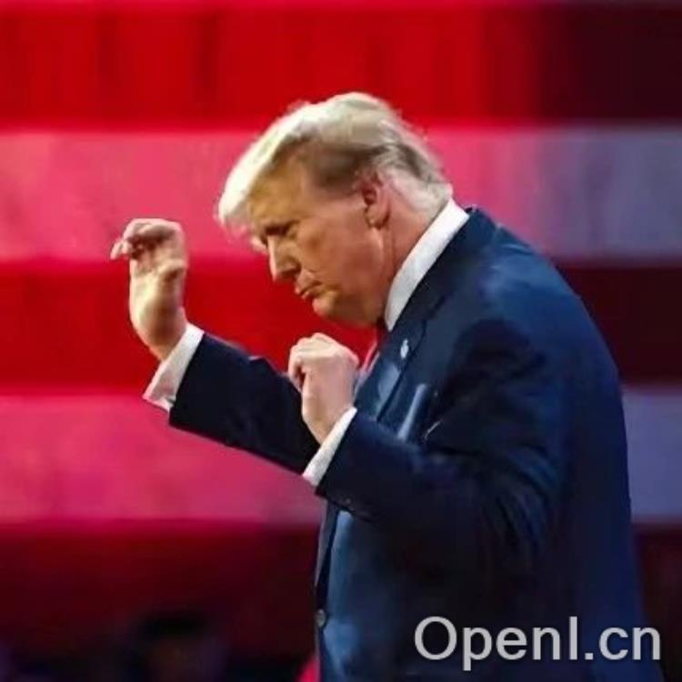 特朗普就职典礼,老黄罕见缺席竟因过年?马斯克小扎库克周受资全员到场