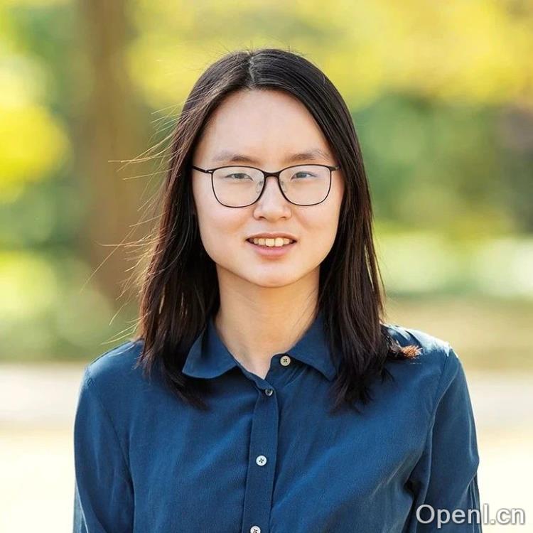 少用33％数据，模型性能不变，陈丹琦团队用元数据来做降本增效