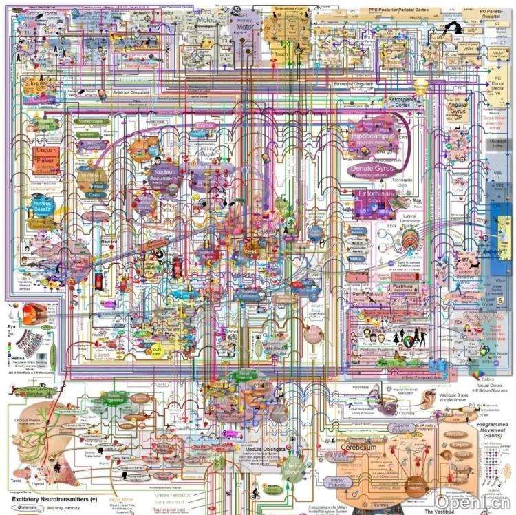 AGI理论比较:主动推理、强化学习、控制论、贝叶斯大脑、效用决策、有限理性、情感动机、动态体内平衡